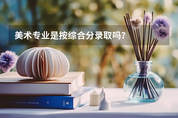 美术专业是按综合分录取吗？