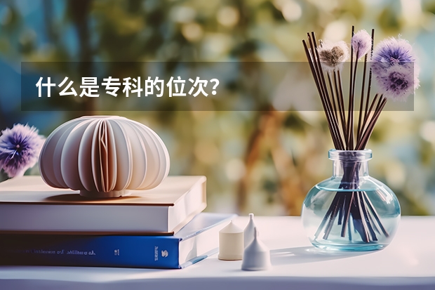 什么是专科的位次？