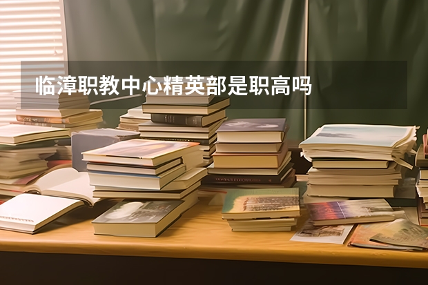 临漳职教中心精英部是职高吗
