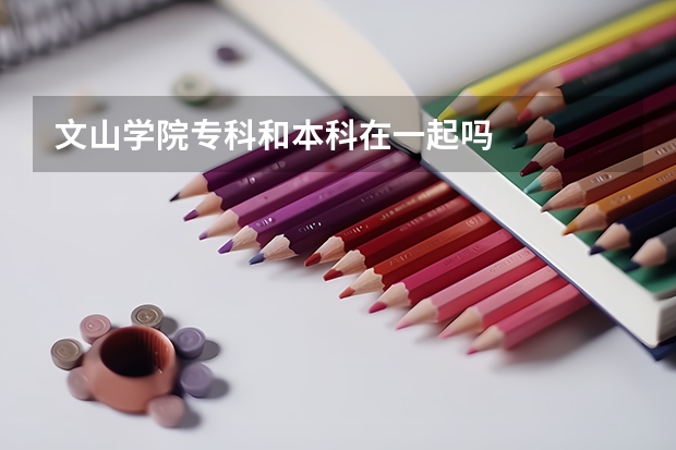 文山学院专科和本科在一起吗