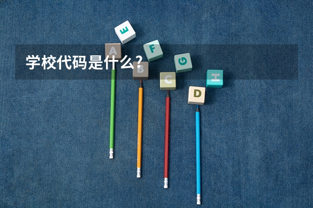 学校代码是什么?