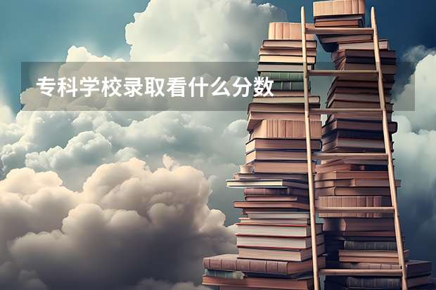 专科学校录取看什么分数