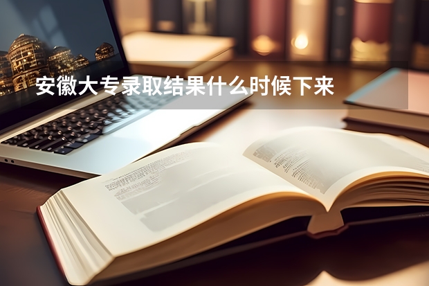 安徽大专录取结果什么时候下来