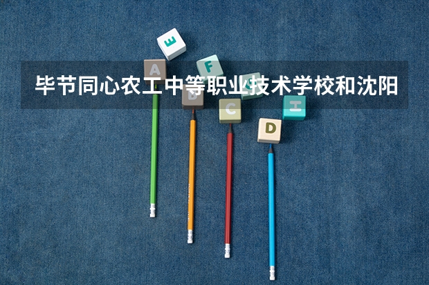 毕节同心农工中等职业技术学校和沈阳市致爱学校哪个好 对比介绍