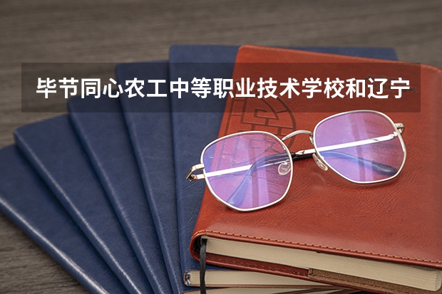 毕节同心农工中等职业技术学校和辽宁东华中等职业学校哪个好 对比介绍