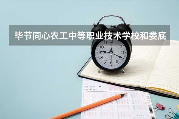 毕节同心农工中等职业技术学校和娄底楚怡职业学校哪个好 对比介绍