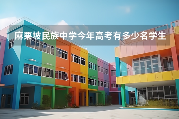 麻栗坡民族中学今年高考有多少名学生过一本?