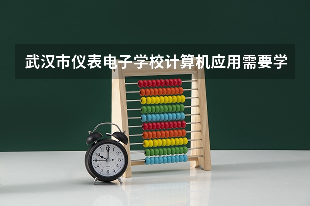 武汉市仪表电子学校计算机应用需要学哪些课程（专业能力要求）