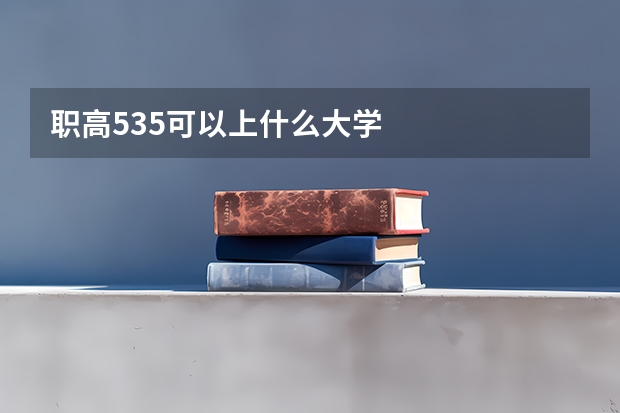 职高535可以上什么大学