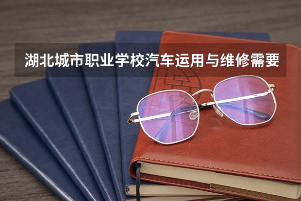 湖北城市职业学校汽车运用与维修需要学哪些课程（专业能力要求）