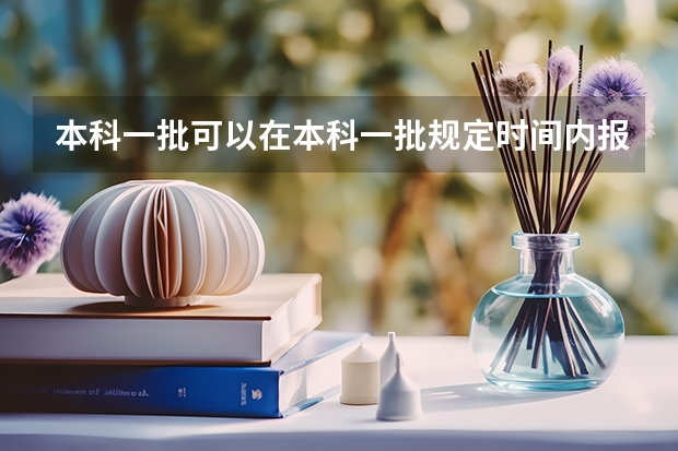 本科一批可以在本科一批规定时间内报考本科二批院校吗