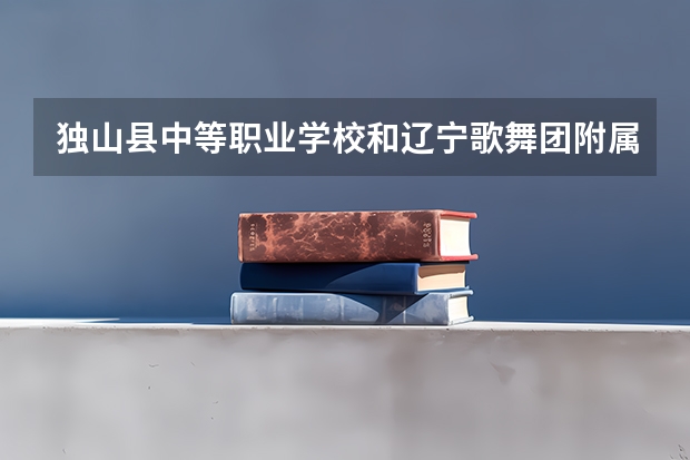 独山县中等职业学校和辽宁歌舞团附属艺术学校哪个好 对比介绍