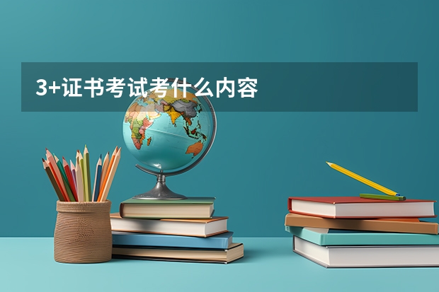 3+证书考试考什么内容