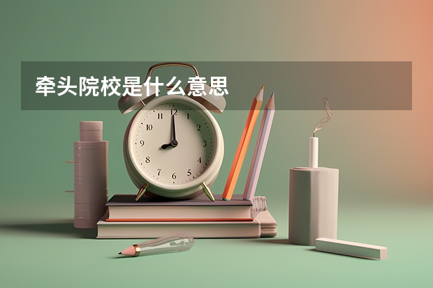 牵头院校是什么意思