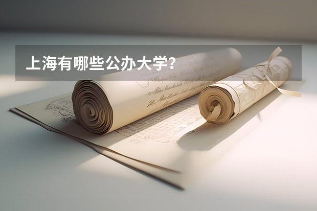 上海有哪些公办大学?