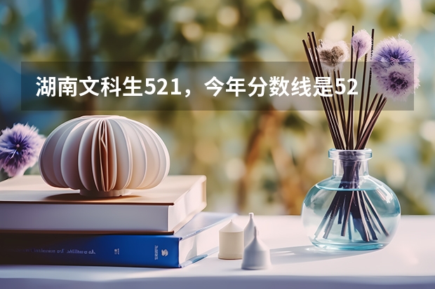 湖南文科生521,今年分数线是526,可以上白城师范学院吗