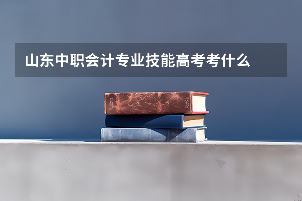 山东中职会计专业技能高考考什么