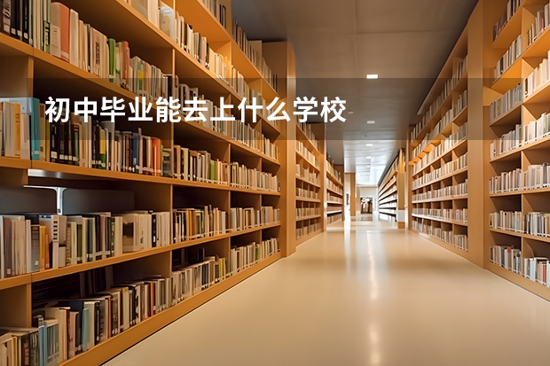 初中毕业能去上什么学校