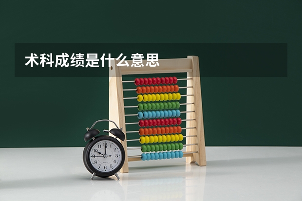 术科成绩是什么意思