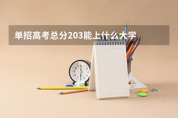 单招高考总分203能上什么大学