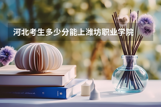 河北考生多少分能上潍坊职业学院