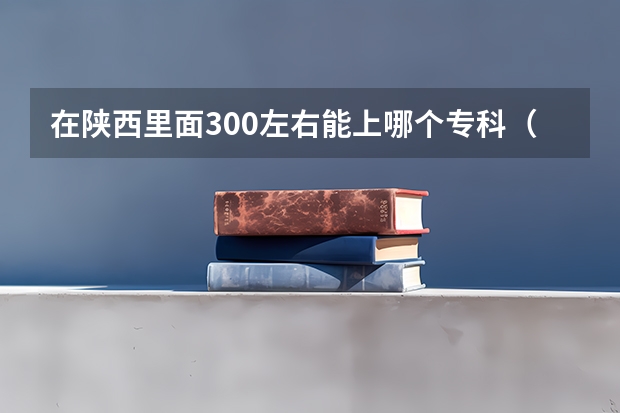 在陕西里面300左右能上哪个专科(高职)院校?