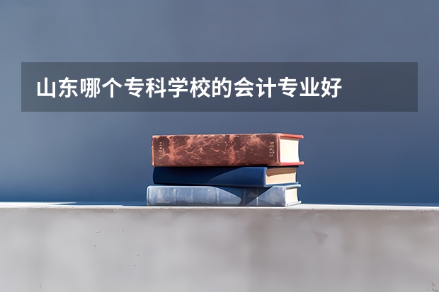 山东哪个专科学校的会计专业好