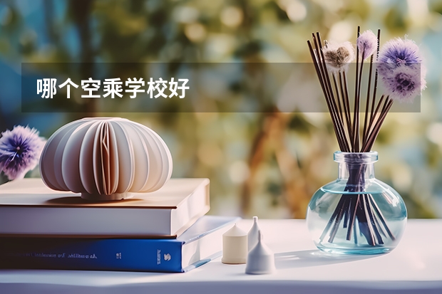 哪个空乘学校好
