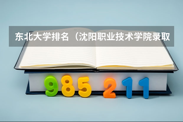 东北大学排名（沈阳职业技术学院录取线）
