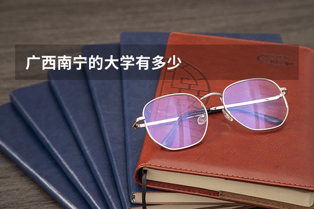 广西南宁的大学有多少