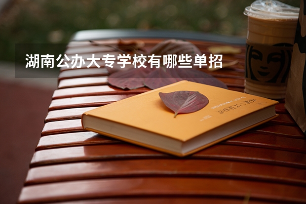 湖南公办大专学校有哪些单招