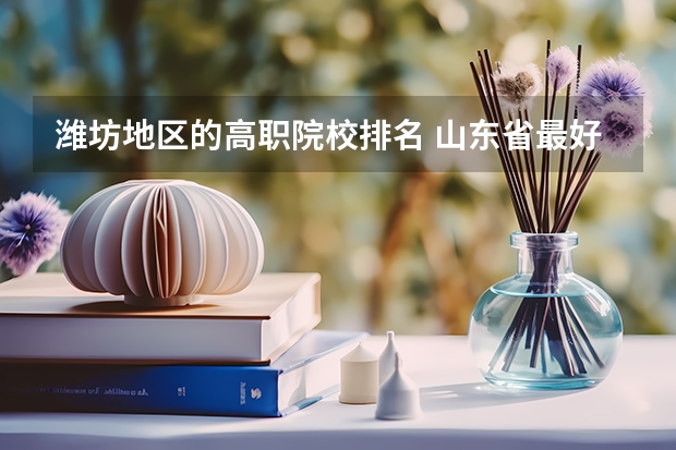 潍坊地区的高职院校排名 山东省最好的职业学校排名