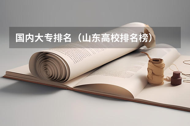国内大专排名（山东高校排名榜）