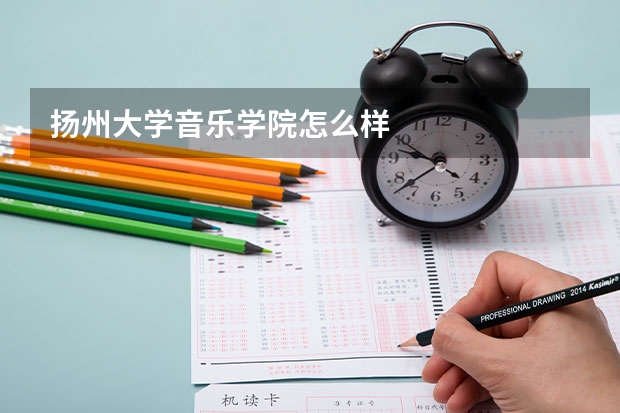 扬州大学音乐学院怎么样