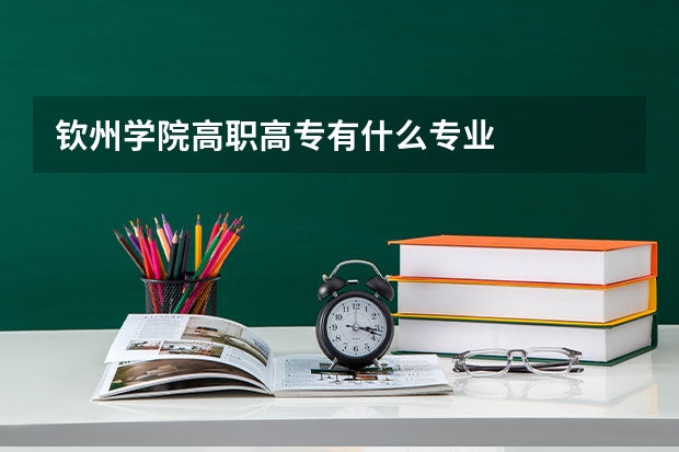 钦州学院高职高专有什么专业
