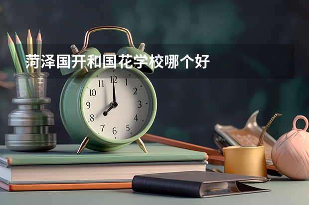 菏泽国开和国花学校哪个好