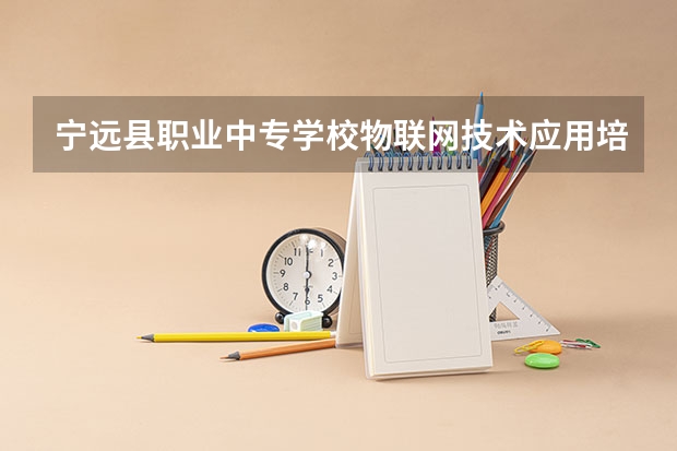 宁远县职业中专学校物联网技术应用培养目标定位（证书介绍）